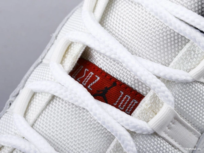 (GS) 11 Platinum Jordan Tint 378038-016 Retro  0815